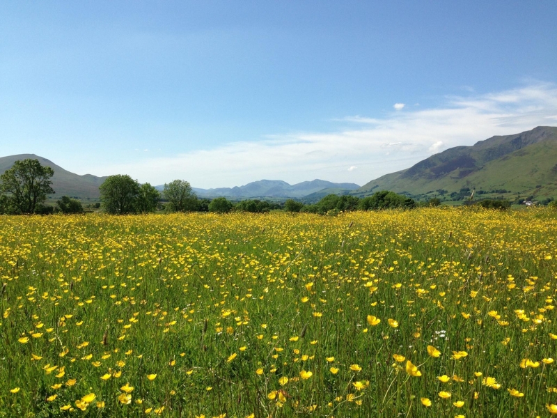 Gill Head Farm